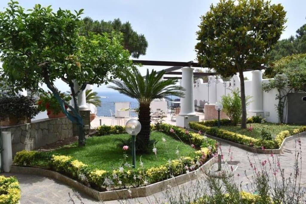 Vittoria, Ischia
